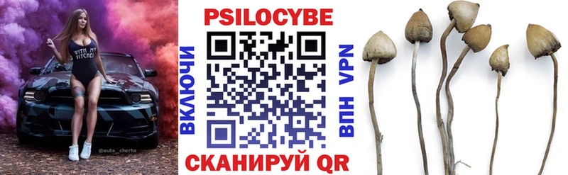 Галлюциногенные грибы прущие грибы  Купить закладки  Будённовск 